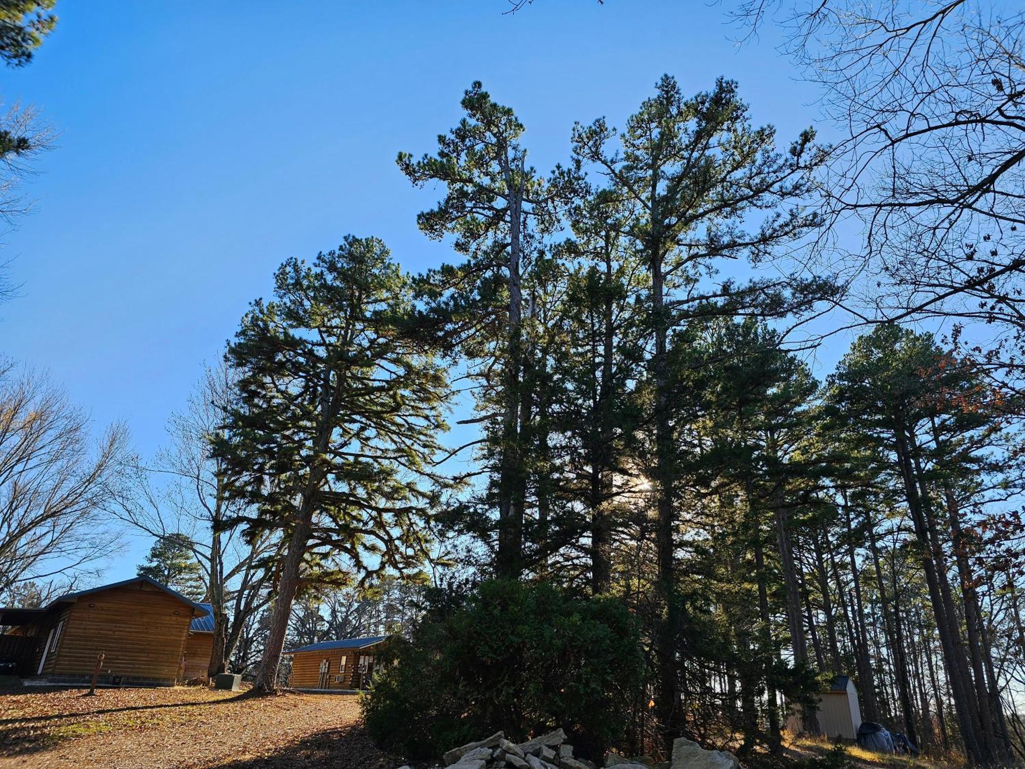 5 Min To Beaver Lake-King Bed-Fire Pit-Jetted Tub #4 Eureka Springs Buitenkant foto
