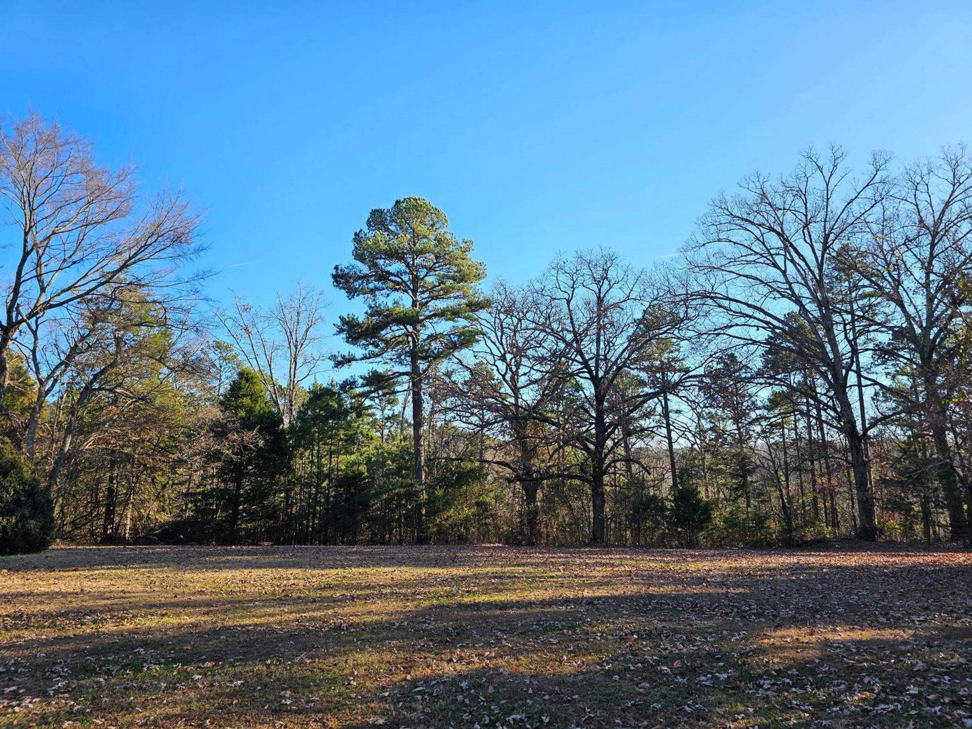 5 Min To Beaver Lake-King Bed-Fire Pit-Jetted Tub #4 Eureka Springs Buitenkant foto